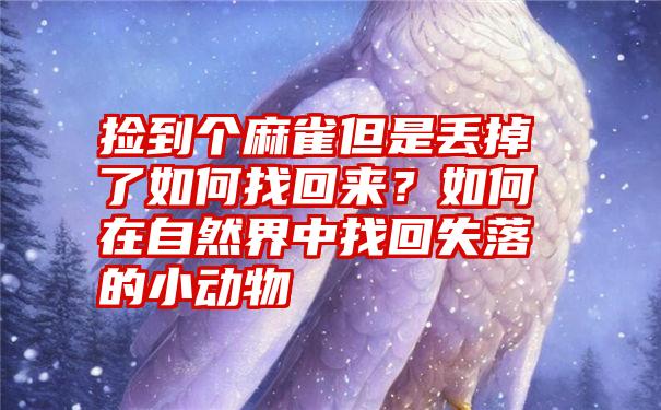 捡到个麻雀但是丢掉了如何找回来？如何在自然界中找回失落的小动物