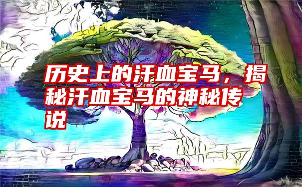 历史上的汗血宝马，揭秘汗血宝马的神秘传说