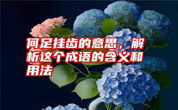 何足挂齿的意思，解析这个成语的含义和用法