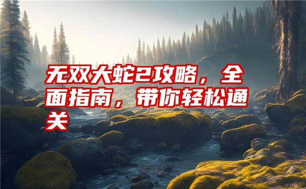 无双大蛇2攻略，全面指南，带你轻松通关