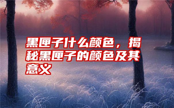 黑匣子什么颜色，揭秘黑匣子的颜色及其意义