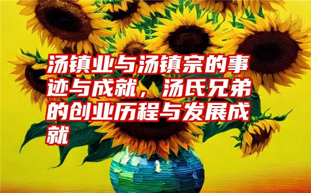 汤镇业与汤镇宗的事迹与成就，汤氏兄弟的创业历程与发展成就