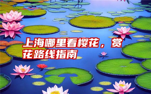 上海哪里看樱花，赏花路线指南