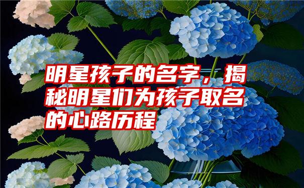 明星孩子的名字，揭秘明星们为孩子取名的心路历程