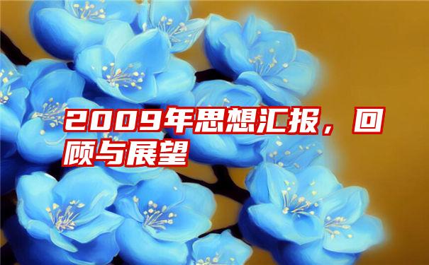 2009年思想汇报，回顾与展望