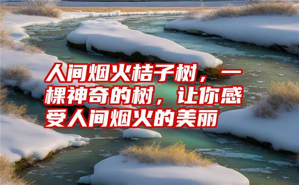 人间烟火桔子树，一棵神奇的树，让你感受人间烟火的美丽