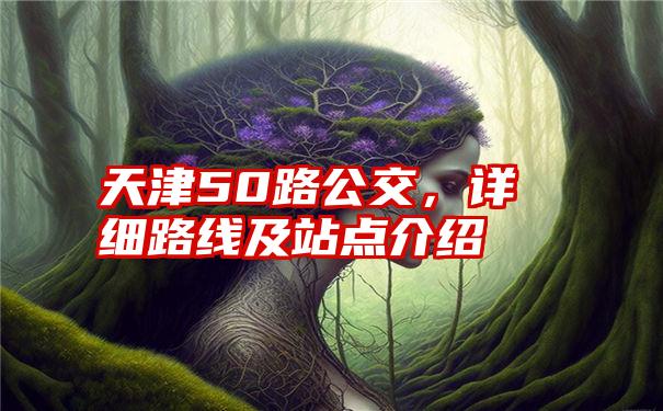 天津50路公交，详细路线及站点介绍