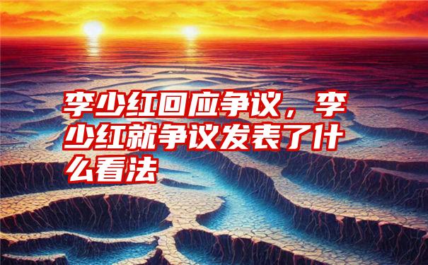 李少红回应争议，李少红就争议发表了什么看法