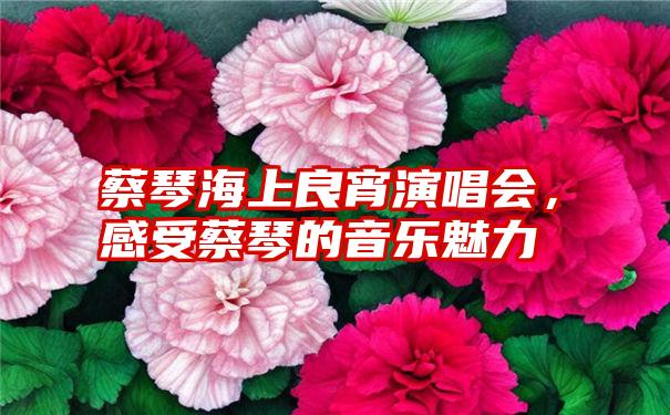 蔡琴海上良宵演唱会，感受蔡琴的音乐魅力