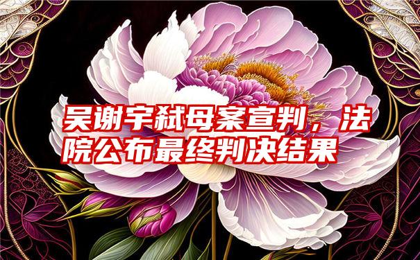 吴谢宇弑母案宣判，法院公布最终判决结果