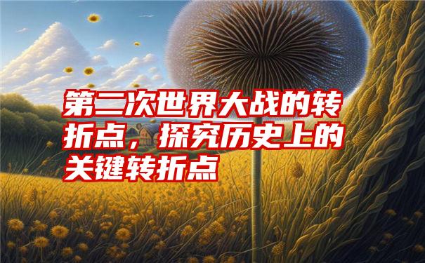 第二次世界大战的转折点，探究历史上的关键转折点