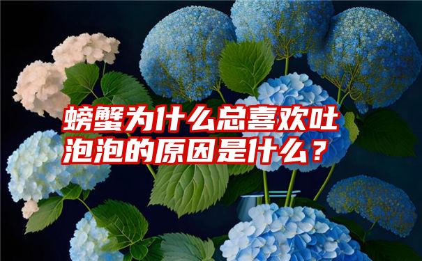 螃蟹为什么总喜欢吐泡泡的原因是什么？