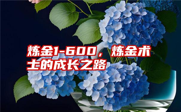 炼金1-600，炼金术士的成长之路