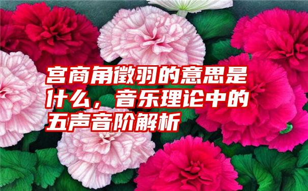 宫商角徵羽的意思是什么，音乐理论中的五声音阶解析