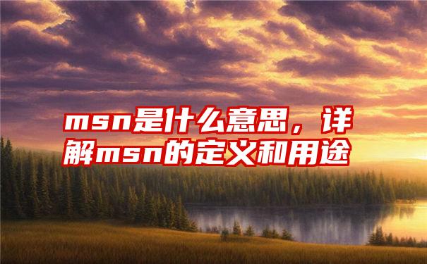 msn是什么意思，详解msn的定义和用途