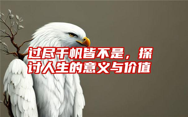 过尽千帆皆不是，探讨人生的意义与价值