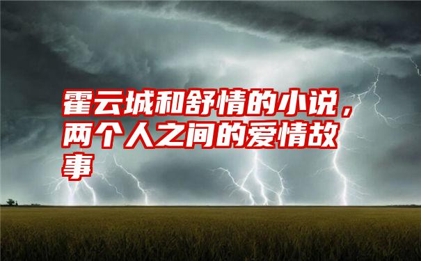 霍云城和舒情的小说，两个人之间的爱情故事