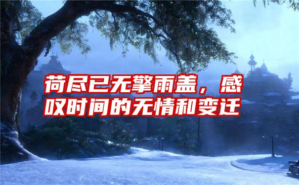 荷尽已无擎雨盖，感叹时间的无情和变迁