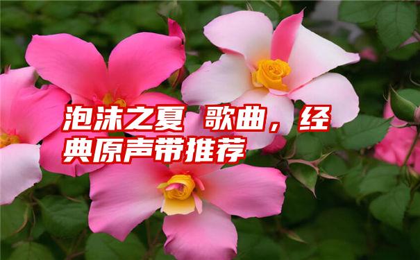 泡沫之夏 歌曲，经典原声带推荐