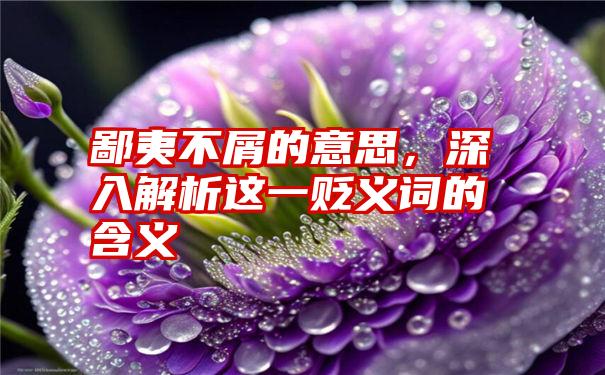 鄙夷不屑的意思，深入解析这一贬义词的含义