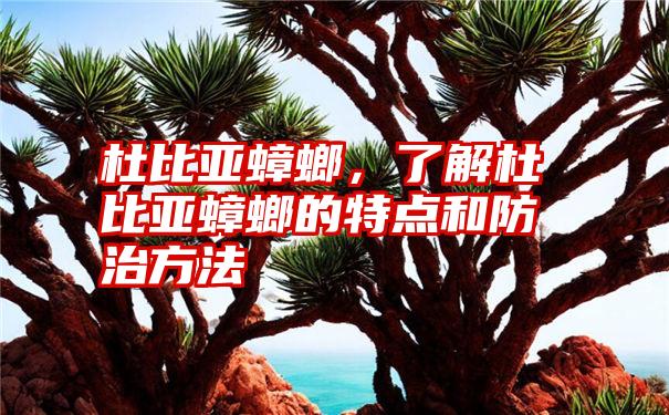 杜比亚蟑螂，了解杜比亚蟑螂的特点和防治方法