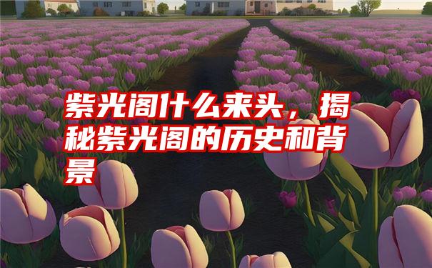 紫光阁什么来头，揭秘紫光阁的历史和背景