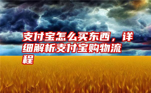 支付宝怎么买东西，详细解析支付宝购物流程