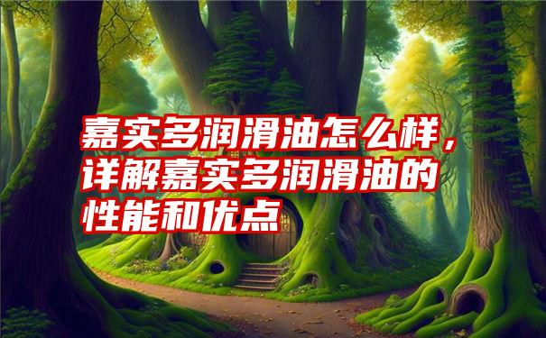 嘉实多润滑油怎么样，详解嘉实多润滑油的性能和优点