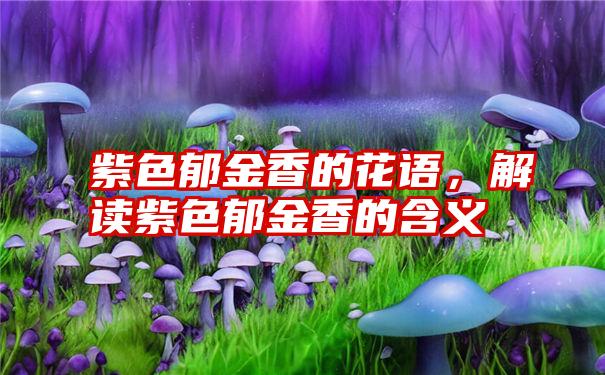 紫色郁金香的花语，解读紫色郁金香的含义