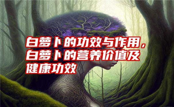 白萝卜的功效与作用，白萝卜的营养价值及健康功效