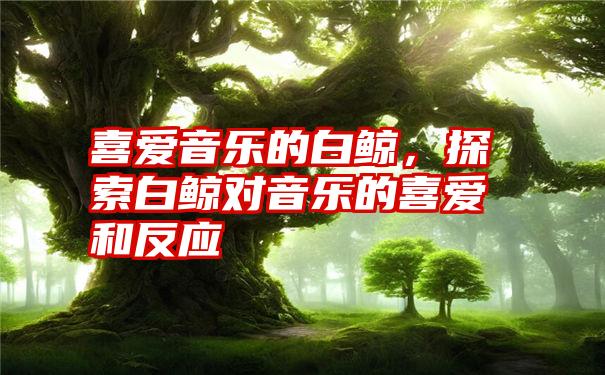 喜爱音乐的白鲸，探索白鲸对音乐的喜爱和反应