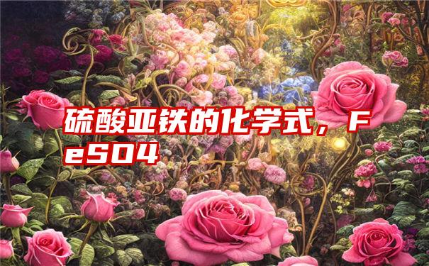 硫酸亚铁的化学式,FeSO4