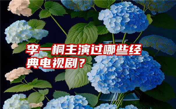 李一桐主演过哪些经典电视剧？