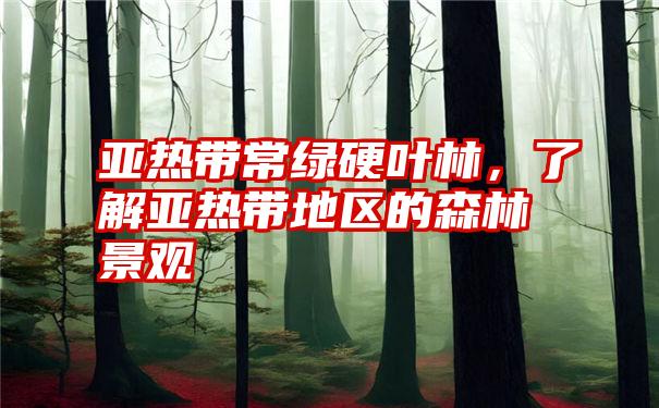 亚热带常绿硬叶林，了解亚热带地区的森林景观