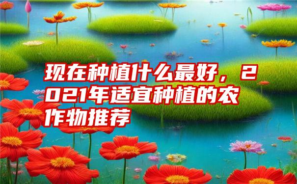 现在种植什么最好，2021年适宜种植的农作物推荐