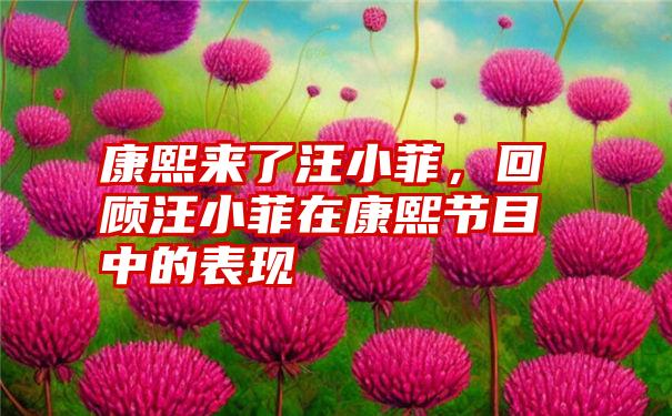 康熙来了汪小菲，回顾汪小菲在康熙节目中的表现