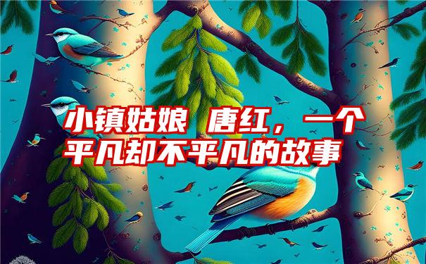 小镇姑娘 唐红，一个平凡却不平凡的故事