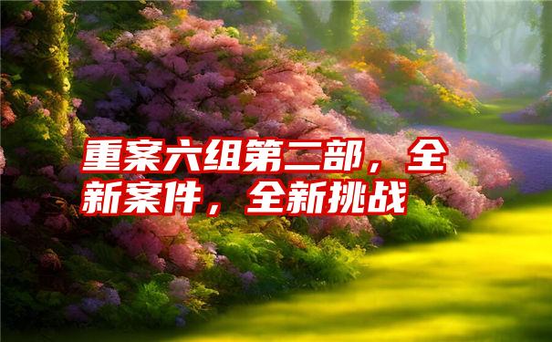 重案六组第二部，全新案件，全新挑战