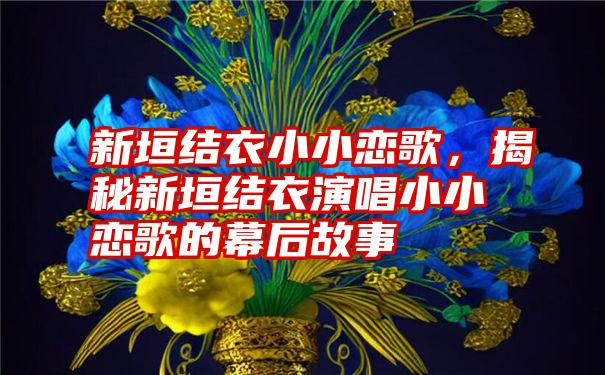 新垣结衣小小恋歌，揭秘新垣结衣演唱小小恋歌的幕后故事