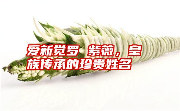 爱新觉罗 紫薇，皇族传承的珍贵姓名