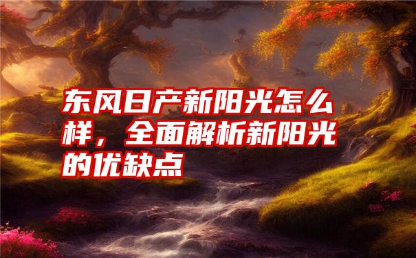 东风日产新阳光怎么样，全面解析新阳光的优缺点