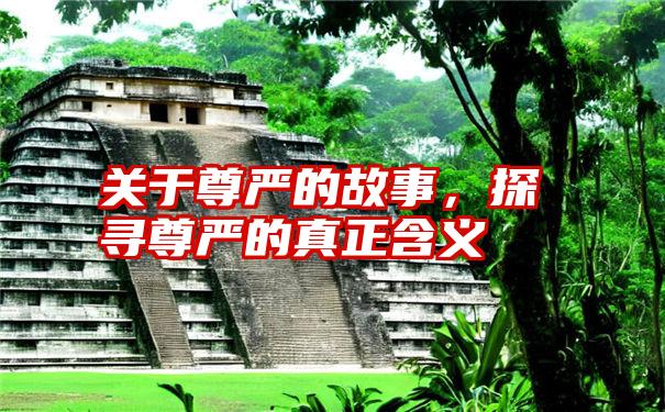 关于尊严的故事，探寻尊严的真正含义