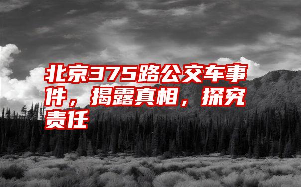 北京375路公交车事件，揭露真相，探究责任