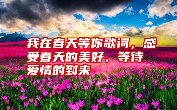 我在春天等你歌词，感受春天的美好，等待爱情的到来