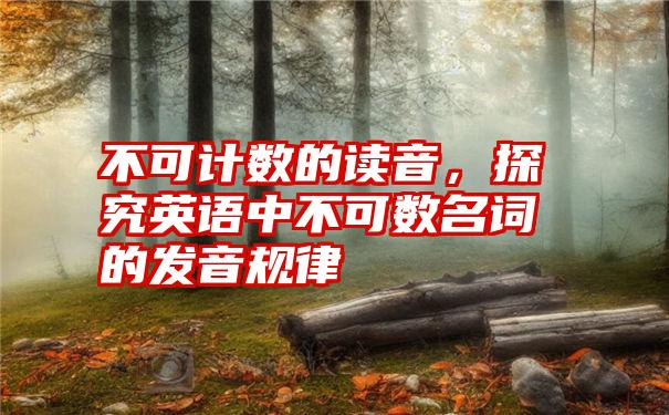 不可计数的读音，探究英语中不可数名词的发音规律