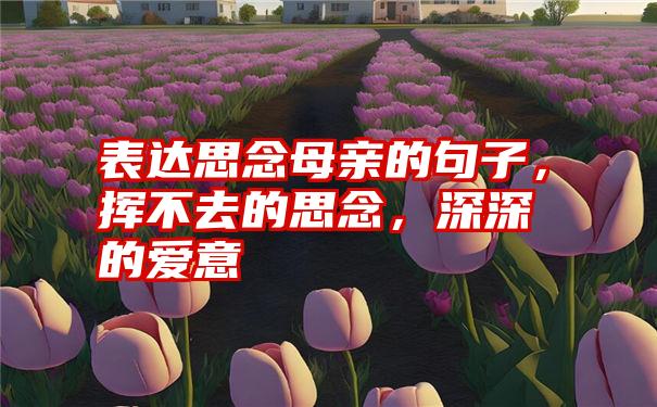 表达思念母亲的句子，挥不去的思念，深深的爱意