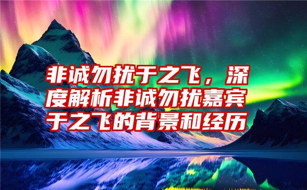 非诚勿扰于之飞，深度解析非诚勿扰嘉宾于之飞的背景和经历