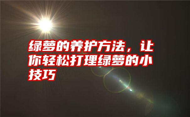 绿萝的养护方法，让你轻松打理绿萝的小技巧