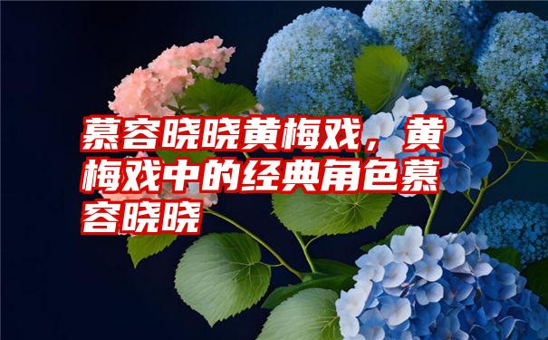 慕容晓晓黄梅戏，黄梅戏中的经典角色慕容晓晓