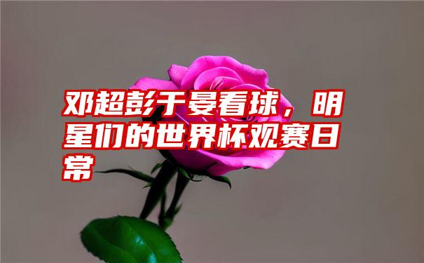 邓超彭于晏看球，明星们的世界杯观赛日常